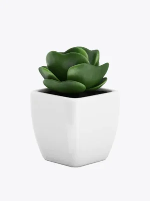 product-image-9_optimized